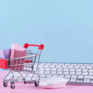 Maximizing E-Commerce Success: The Ultimate Enterprise Plan for Established Businesses